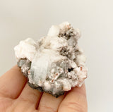 Blessed Gift Box (Mini Cuttings & Mystery Crystal)