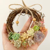 Assorted Succulent Garden Wreath