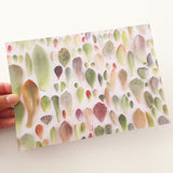 Succulent Print Blush