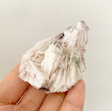 Blessed Gift Box (Mini Cuttings & Mystery Crystal)