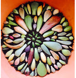 Assorted Succulent Leaves - Soul Made Boutique