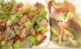 Assorted Succulent Cuttings (Miniatures) Gift Box - Soul Made Boutique