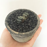 Collector's Succulent Plant Concrete Pot - Soul Made Boutique