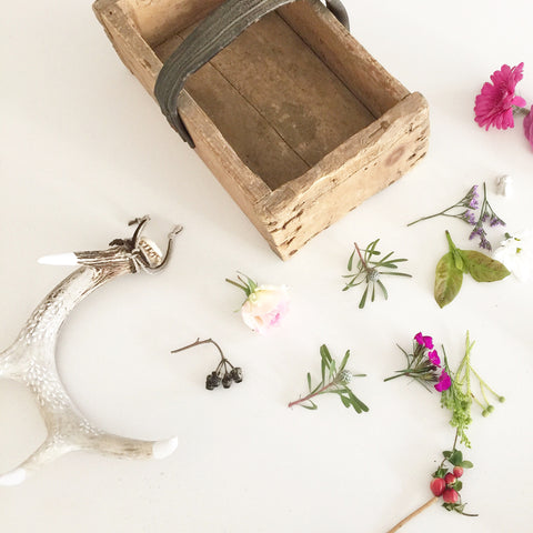 Antler with Teardrop Prints