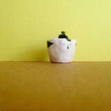 Quirky Face Pot