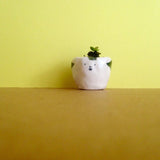 Quirky Face Pot
