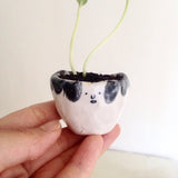 Quirky Face Pot