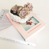 Collector's Succulent Plant Handmade Watercolour Pot