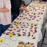 Silk Scarf Natural Dyeing Workshop by Carly Catalano  - 3 Nov 2024