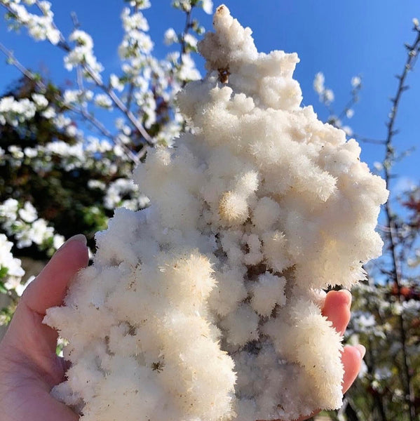 Crystal Specimens - Yellow Aragonite (Dawn)