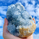 Crystal Specimens - Celestite (Chase)