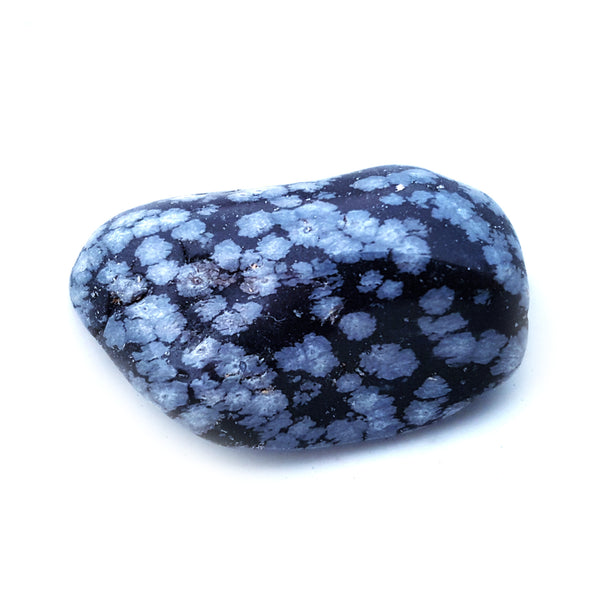Tumbled Stones - Snowflake Obsidian