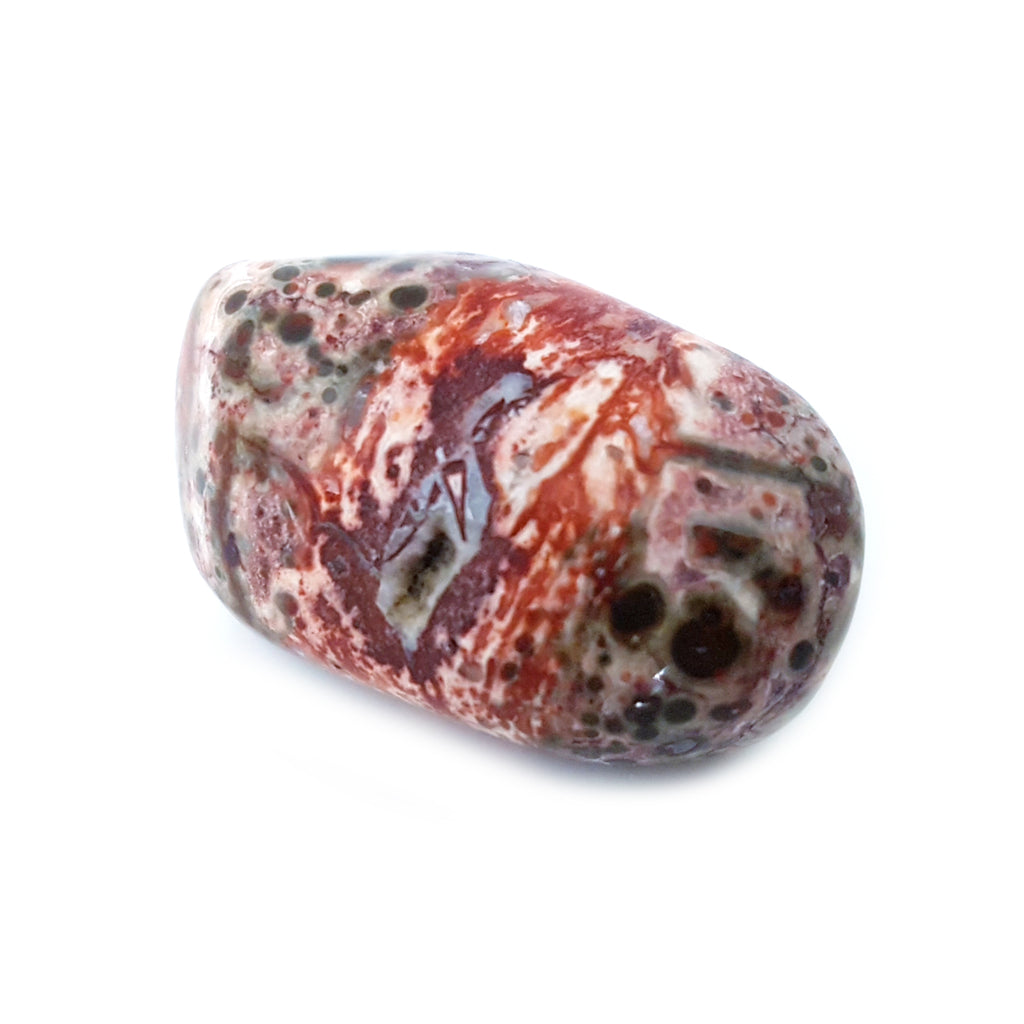 Tumbled Stones - Leopard Skin Jasper