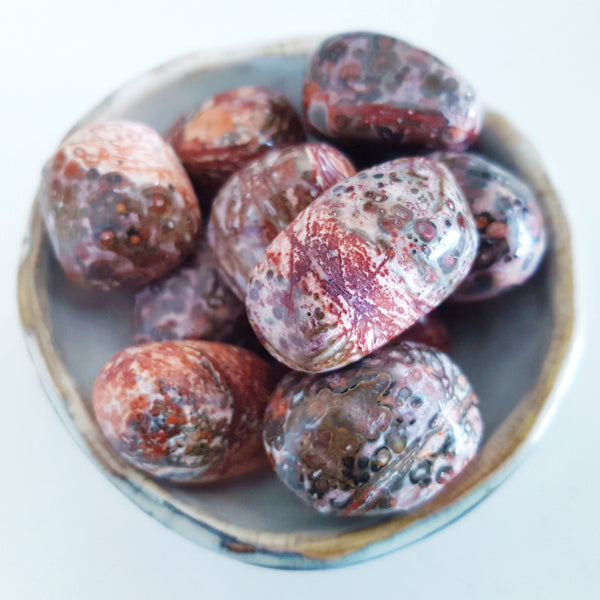 Tumbled Stones - Leopard Skin Jasper