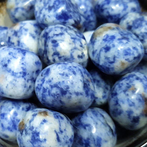 Tumbled Stones - Blue Spot Jasper