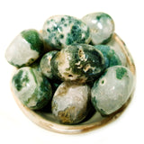 Tumbled Stones - Moss Agate