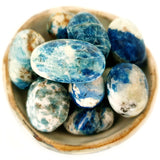 Tumbled Stones - Blue Fire Apatite