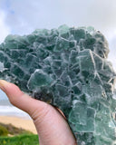 Crystal Specimens - Green Fluorite (Sydney)