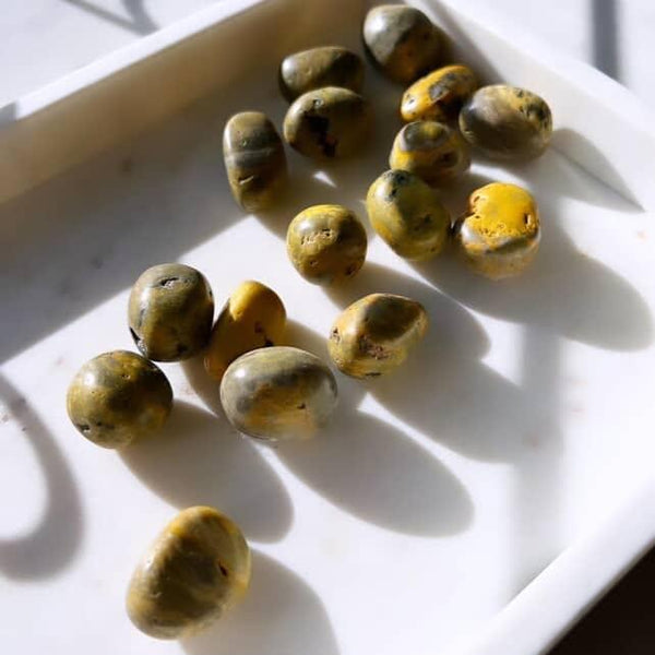 Tumbled Stones - Bumblebee Jasper