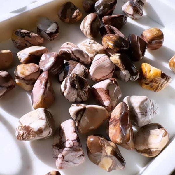 Tumbled Stones - Brown Zebra Jasper