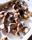 Tumbled Stones - Brown Zebra Jasper