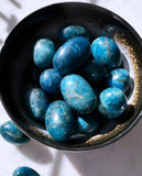 Tumbled Stones - Blue Apatite