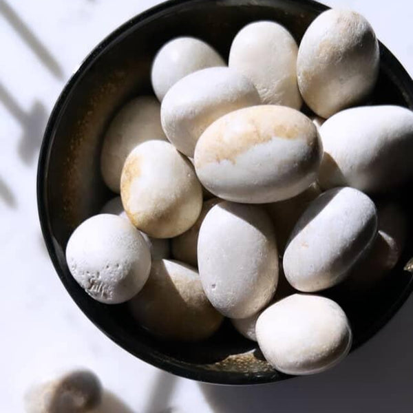 Tumbled Stones - Fossilized Coral