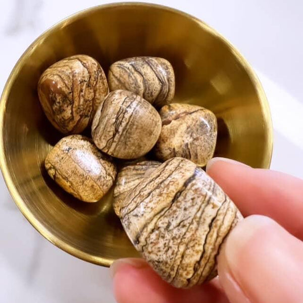 Tumbled Stones - Picture Jasper