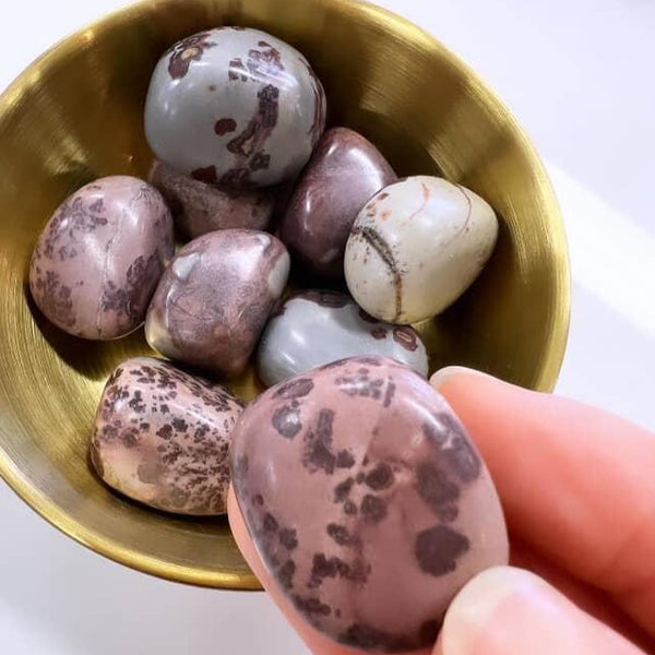 Tumbled Stones - Red Picture Jasper