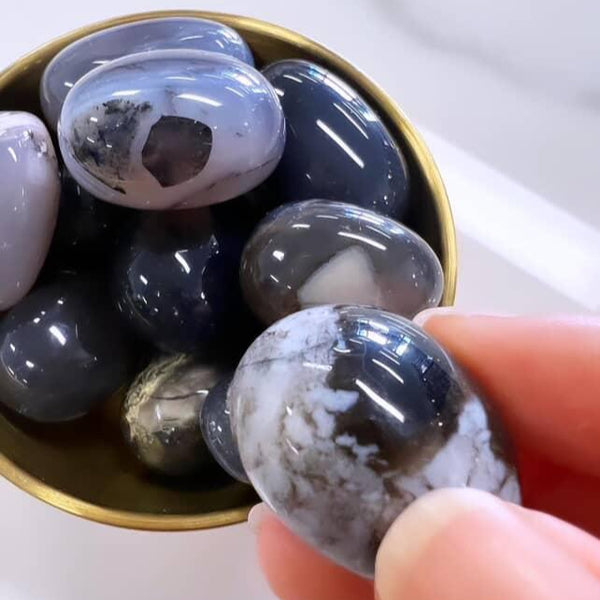 Tumbled Stones - Black Flower Agate