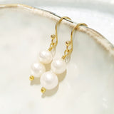 Glamorous Pearls Collection Earrings - Round Twin Pearls Loop Earrings
