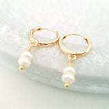 Glamorous Pearls Collection Earrings - Round Twin Pearls Gold Loop Earrings