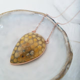 Adore Gemstone Collection - Inverse Teardrop Fossil Coral Necklace
