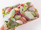 Assorted Succulent Leaves