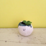 Quirky Face Pot