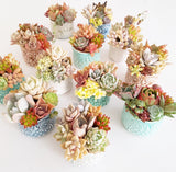 Assorted Succulent Garden Owl Pot