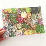 Succulent Print Blush