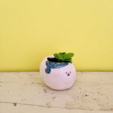 Quirky Face Pot