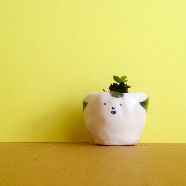 Quirky Face Pot