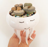 Assorted Lithop Garden Octopus Pot - Poppy